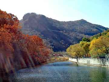 管家婆免费正版资起大全，氢化松香